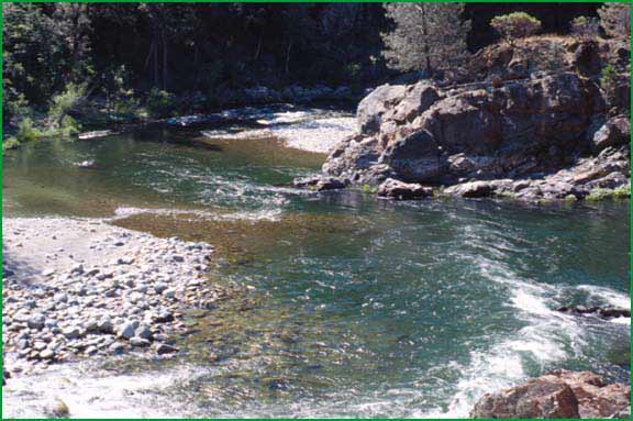 Upper Sacramento River (above Shasta Lake)