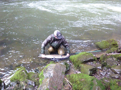 oregon-steelhead-fishing