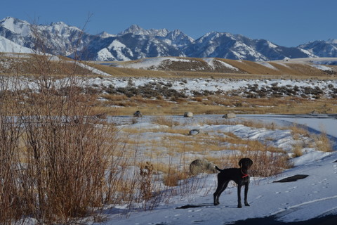 yellowstone snow