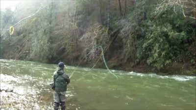 oregon steelhead