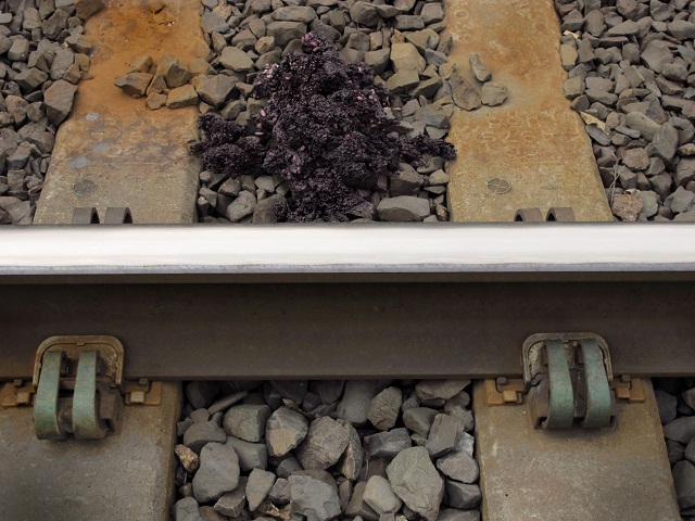 bear scat on upper sac railroad tracks