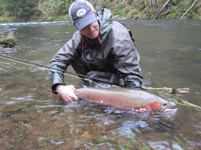 oregon steelhead