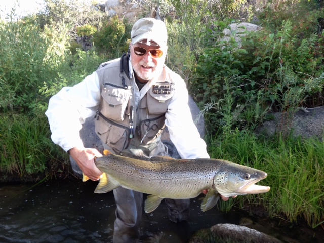 truckee-river-fly-fishing-30-inch-brown-trout